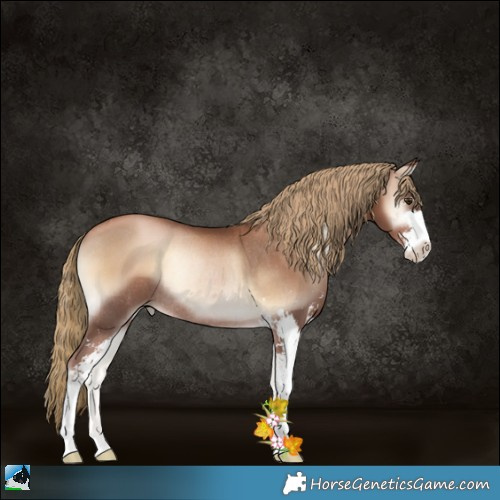 Horse Color:Liver Red Onyx Pearl Sabino Rabicano 