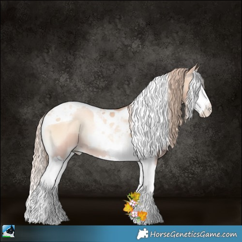 Horse Color:Gold Champagne Pearl Onyx Splash Tobiano 