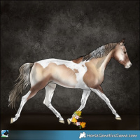Horse Color:Liver Red Onyx Pearl Tobiano Rabicano