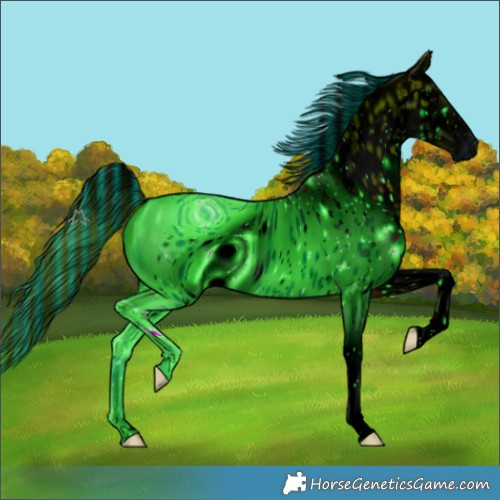 Horse Color:ERROR: UNKNOWN ANOMALY