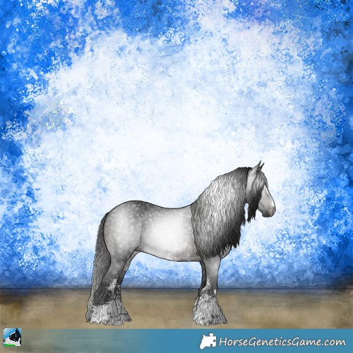 Horse Color:Gray Brown Sabino Rabicano