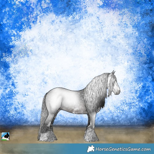 Horse Color:Gray Brown Sabino Rabicano