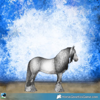 Horse Color:Gray Brown Sabino Rabicano