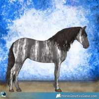 Horse Color:Liver Chestnut Ice Rabicano 