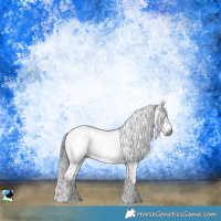 Horse Color:Gray Brown Sabino Frame Rabicano