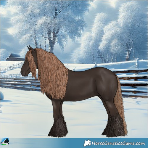 Horse Color:Liver Chestnut 