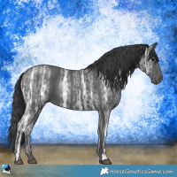 Horse Color:Black Ice 