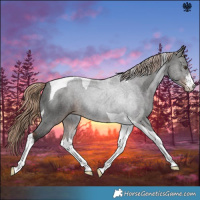 Horse Color:White Spotted Liver Chestnut Tobiano 