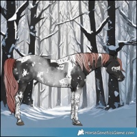 Horse Color:White Spotted Liver Chestnut Tobiano 