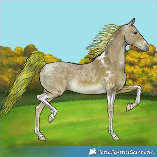 Horse Color:Painted Chestnut Ice Tobiano 
