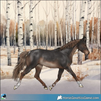 Horse Color:Liver Chestnut Sabino Rabicano 