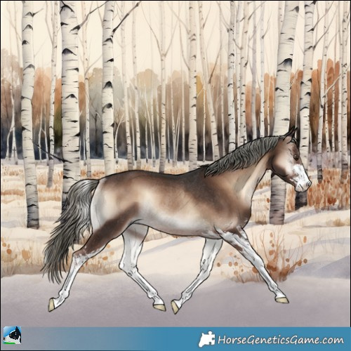 Horse Color:Liver Red Onyx Mushroom Sabino Rabicano