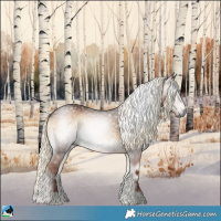 Horse Color:Gray Liver Red Onyx Mushroom Rabicano 
