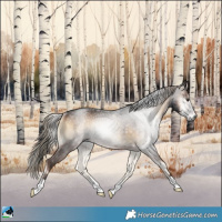 Horse Color:Gray Liver Red Onyx Rabicano 