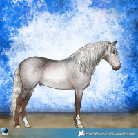 Horse Color:Gray Liver Chestnut Mushroom Rabicano