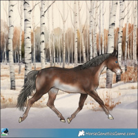 Horse Color:Liver Chestnut Mushroom Frame Rabicano 