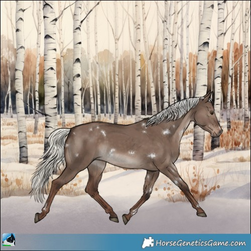 Horse Color:White Spotted Liver Red Dun Mushroom Rabicano