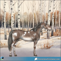 Horse Color:White Spotted Liver Red Dun Mushroom Rabicano 