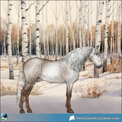 Horse Color:Gray Liver Red Dun Mushroom Rabicano