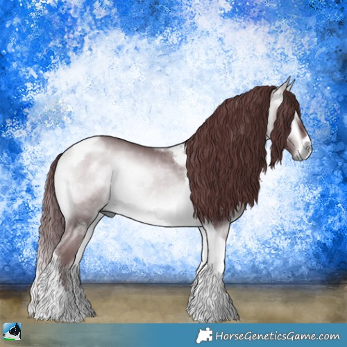 Horse Color:Chocolate Buckskin Chinchilla Onyx Sabino Tobiano 