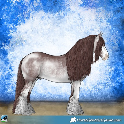 Horse Color:Chocolate Buckskin Chinchilla Sabino Rabicano 