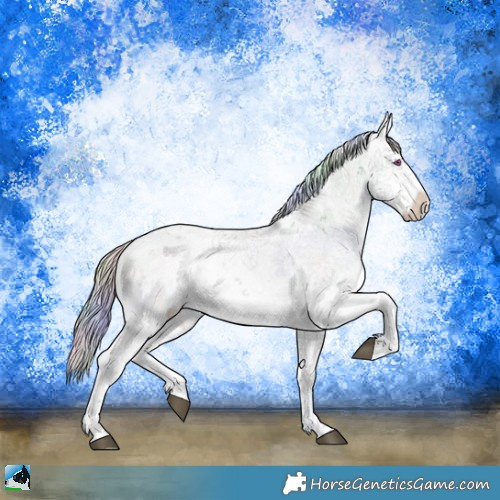 Horse Color:Nacre Silver Brown Chinchilla Dun Sabino Rabicano