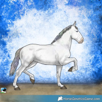 Horse Color:Nacre Silver Brown Chinchilla Dun Sabino Rabicano 