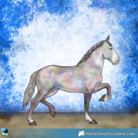 Horse Color:Nacre Chocolate Silver Brown Chinchilla Sabino Rabicano 