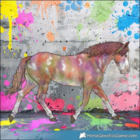 Horse Color:Nacre White Spotted Chestnut Splash 