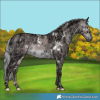 Horse Color:Gray Platinum White Spotted Red Dun Ice Mushroom 