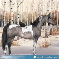 Horse Color:Platinum Brown Dun Tobiano Rabicano