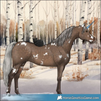 Horse Color:White Spotted Silver Brown Dun