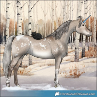 Horse Color:White Spotted Silver Brown Dun Tobiano Rabicano