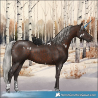 Horse Color:White Spotted Silver Brown Tobiano
