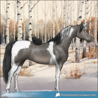 Horse Color:Grullo Tobiano