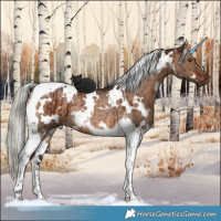 Horse Color:White Spotted Silver Brown Dun Tobiano Rabicano Brindle