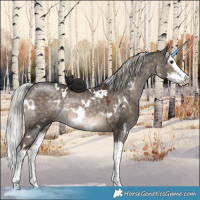 Horse Color:White Spotted Silver Brown Dun Splash Rabicano 