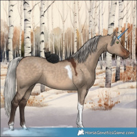 Horse Color:Silver Brown Dun Tobiano 