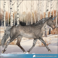 Horse Color:Silver Brown Dun Tobiano 