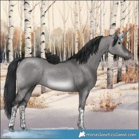 Horse Color:Platinum Brown Dun Tobiano