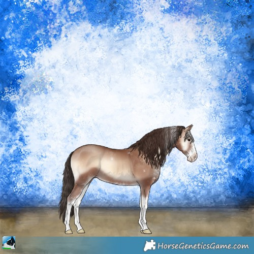 Horse Color:Classic Champagne Onyx Sabino 