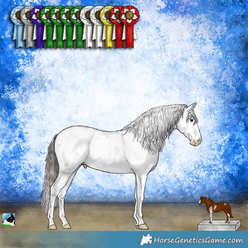 Horse Color:Classic Champagne Sabino 