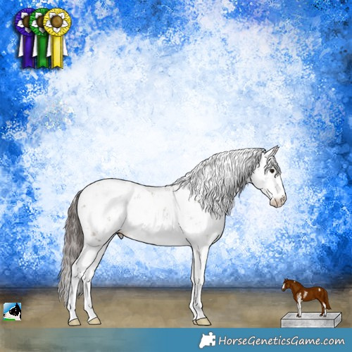 Horse Color:Classic Champagne Sabino 