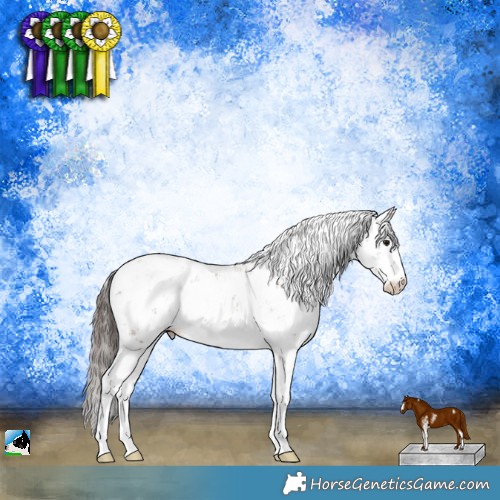 Horse Color:Classic Champagne Sabino 