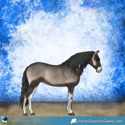 Horse Color:Blue Onyx Rabicano 