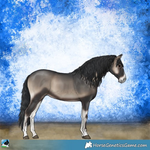 Horse Color:Blue Onyx Sabino 