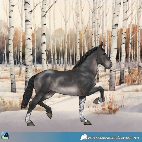 Horse Color:Platinum Brown Tobiano Rabicano