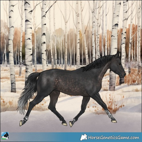 Horse Color:Platinum Brown Tobiano 
