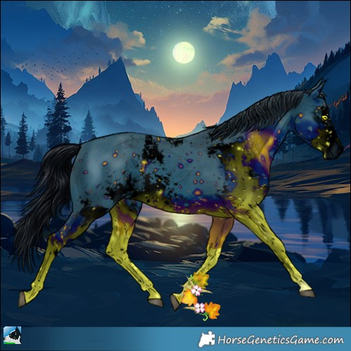 Horse Color:ERROR: UNKNOWN ANOMALY