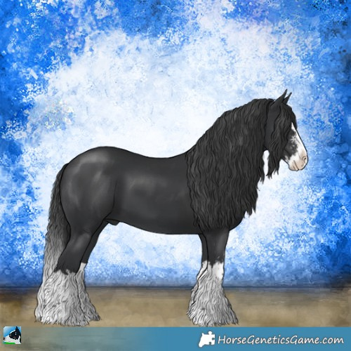 Horse Color:Black Sabino Splash 